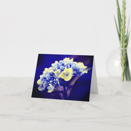 Abstract Blue Hydrangea Flower Note Kaart (Voorkant)