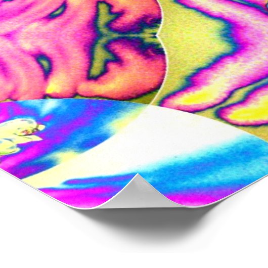 Abstract boho roze oranje blauw paarse orchidee poster (Hoek)