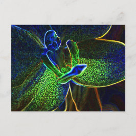 Abstract briefkaart Anthura