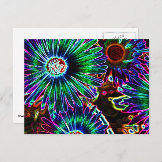 Abstract briefkaart Cape Daisy (Voorkant / Achterkant)