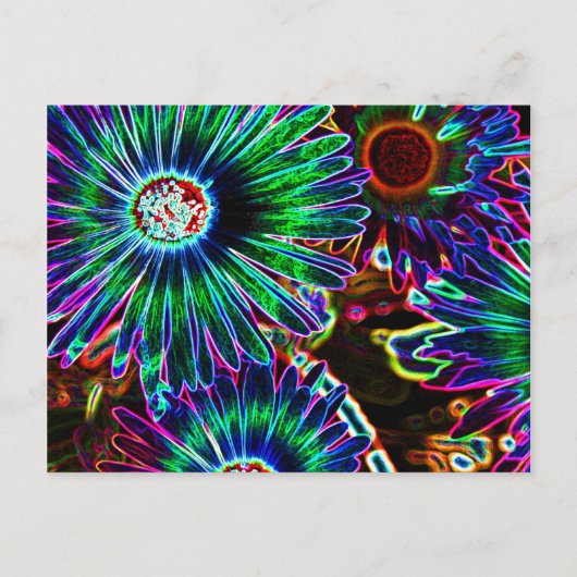 Abstract briefkaart Cape Daisy (Voorkant)