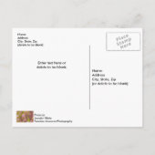 Abstract Briefkaart van de lenteseizoenen Pinks (Achterkant)