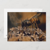 Abstract Briefkaart voor het schilderen van kunstb (Voorkant / Achterkant)