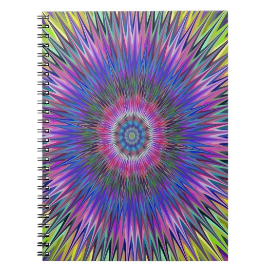 Abstract Bulls-eye-patroon Notitieboek (Voorkant)