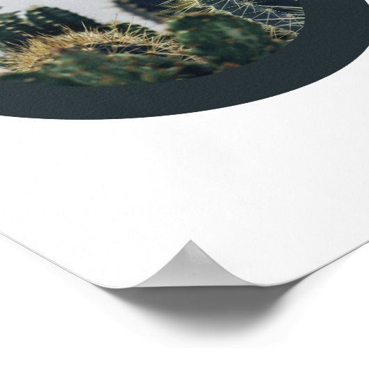 Abstract Cactus Poster 2 | 8x10 (Hoek)