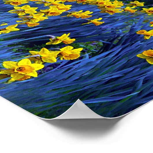 Abstract Daffodil Poster (Hoek)