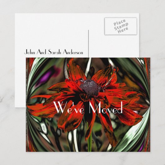 Abstract Daisy Flower New Address Aankondigingskaart (Voorkant / Achterkant)