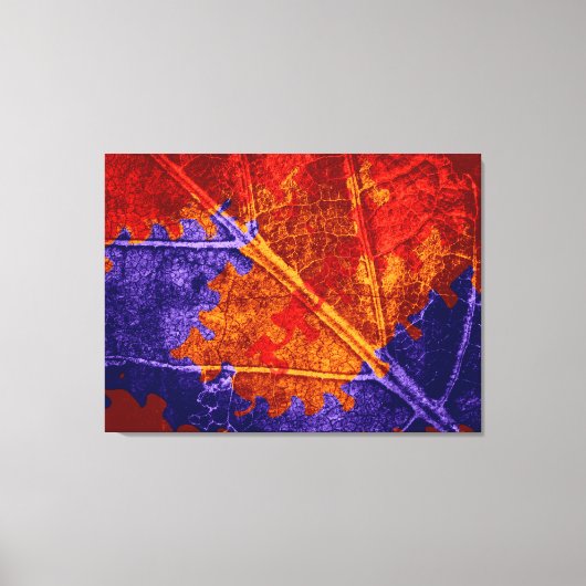 Abstract deegsel op Leaf Canvas Afdruk (Voorkant)