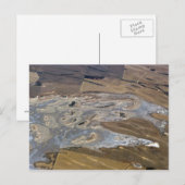 abstract dier briefkaart (Voorkant / Achterkant)