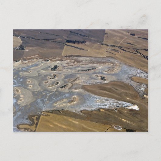 abstract dier briefkaart (Voorkant)