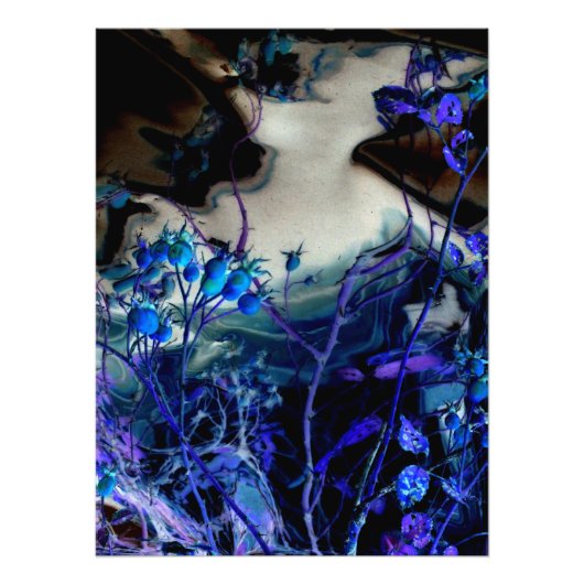 abstract digitaal gewijzigde 'In A Dream'-Rozen Foto Afdruk (Voorkant)