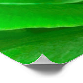 Abstract Emerald Green Roos Center Foto Poster (Hoek)