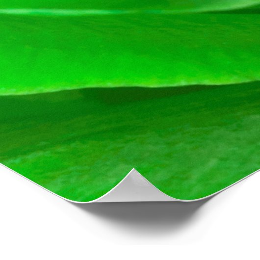 Abstract Emerald Green Roos Center Foto Poster (Hoek)