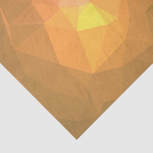 Abstract en kleurrijk patroonontwerp - Pocahontas Tissuepapier (Detail)