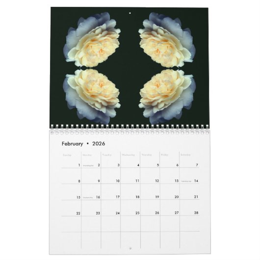 Abstract Flowers Photography  Kalender (Feb 2026)