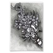 Abstract geïnspireerd. Een cluster van hoeken Foto Afdruk (Voorkant)