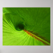 Abstract Ginger Leaf Spiral Poster (Voorkant)