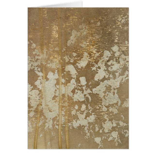 Abstract gouden schilderen met zilverspeckers (Voorkant)