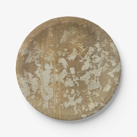 Abstract gouden schilderen met zilverspeckers papieren bordje (Voorkant)