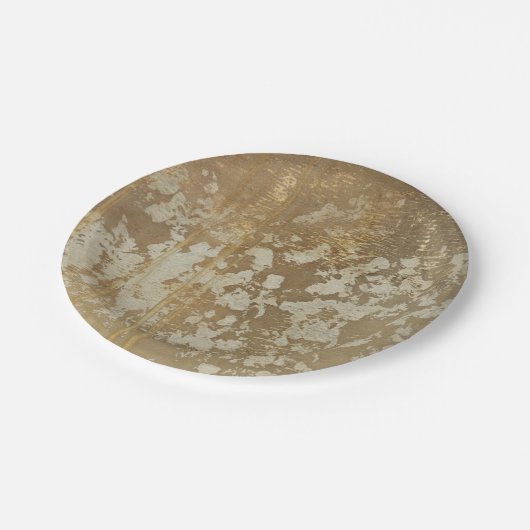 Abstract gouden schilderen met zilverspeckers papieren bordje (Gekanteld)