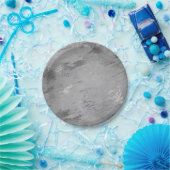 Abstract grijs grafiet Silver Marble Party Vip Papieren Bordje (Feest)