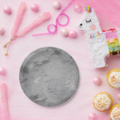 Abstract grijs grafiet Silver Marble Party Vip Papieren Bordje (Feest)