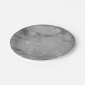 Abstract grijs grafiet Silver Marble Party Vip Papieren Bordje (Gekanteld)