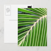 Abstract groen palm Leaf Briefkaart (Voorkant / Achterkant)