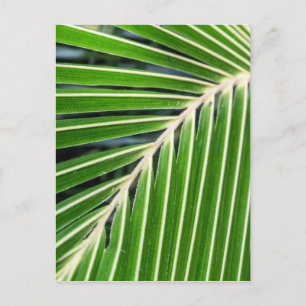 Abstract groen palm Leaf Briefkaart