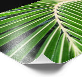 Abstract groen palm Leaf Foto Afdruk (Hoek)