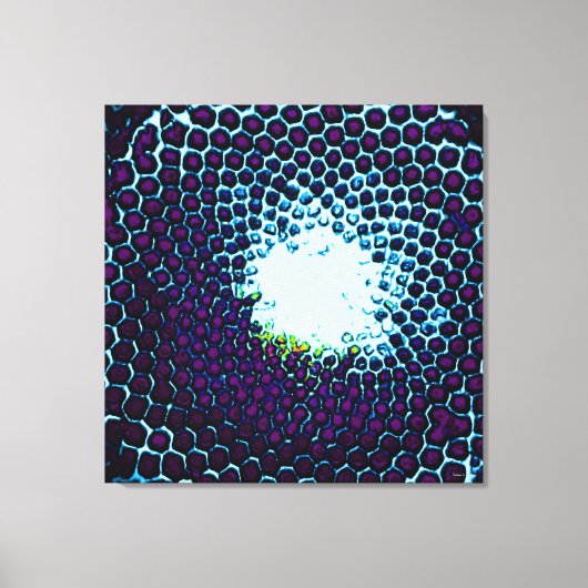 Abstract Honeycomb Design blauw en paars Canvas Afdruk (Voorkant)