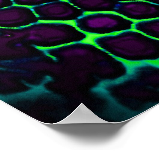 Abstract Honeycomb Design green en paars Poster (Hoek)