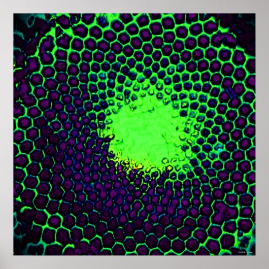 Abstract Honeycomb Design green en paars Poster (Voorkant)