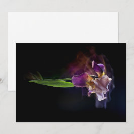 Abstract Iris Flower – Elegant Floral Art Feestdagenkaart