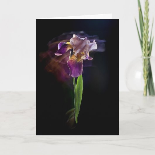 Abstract Iris Flower – Elegant Floral Art Kaart (Voorkant)