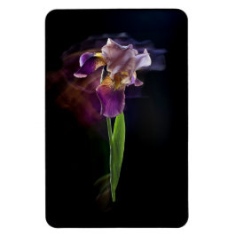 Abstract Iris Flower – Elegant Floral Art Magneet