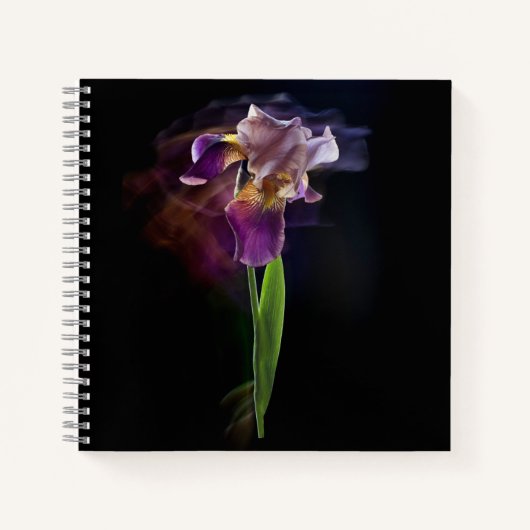 Abstract Iris Flower – Elegant Floral Art Notitieboek (Voorkant)