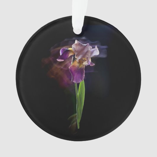 Abstract Iris Flower – Elegant Floral Art Ornament (voorkant)