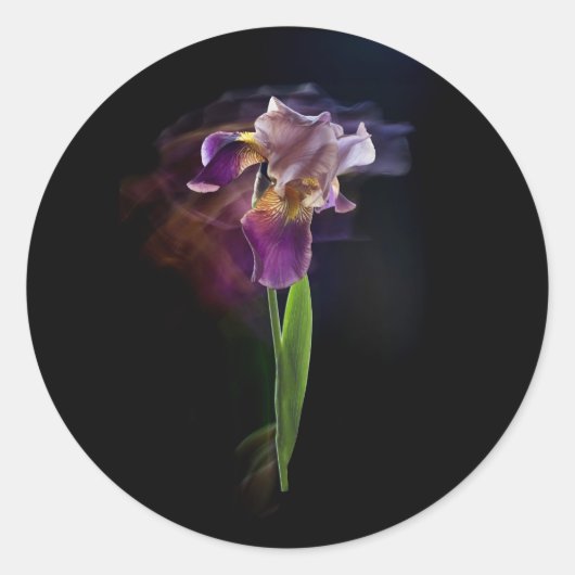 Abstract Iris Flower – Elegant Floral Art Ronde Sticker (Voorkant)