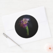 Abstract Iris Flower – Elegant Floral Art Ronde Sticker (Envelop)