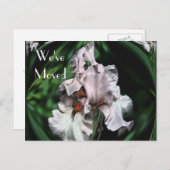 Abstract Iris Flower New Address Aankondigingskaart (Voorkant / Achterkant)