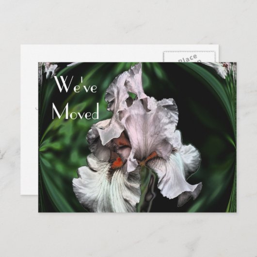 Abstract Iris Flower New Address Aankondigingskaart (Voorkant / Achterkant)
