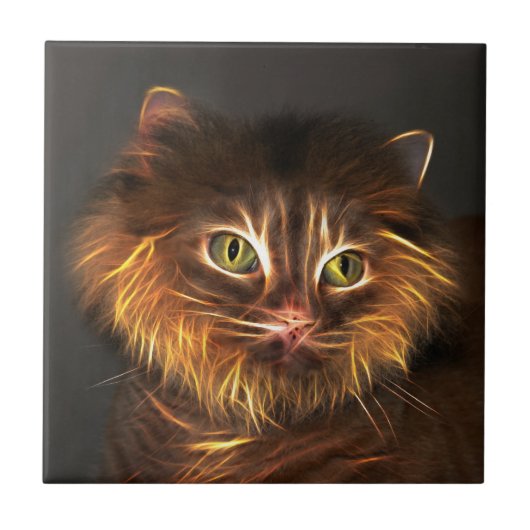 Abstract kattengezicht tegeltje (Voorkant)