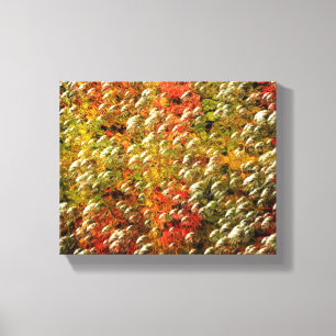 Abstract kleurig bubbelpatroon canvas afdruk