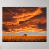 abstract landschap met eenzame natuur poster (Voorkant)