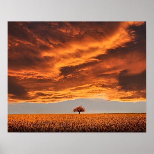abstract landschap met eenzame natuur poster (Voorkant)