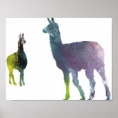 Abstract Llama silhouette Poster (Voorkant)