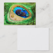 Abstract Macro Peacock Feather Druppelt Visitekaar Visitekaartje (Voorkant / Achterkant)