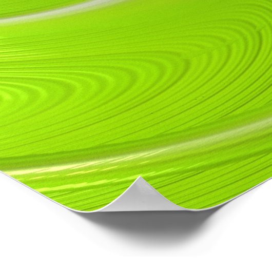 Abstract Matig Spiral Fractal Poster (Hoek)