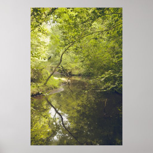 Abstract Nature Wall Art – Modern Landscape Poster (Voorkant)